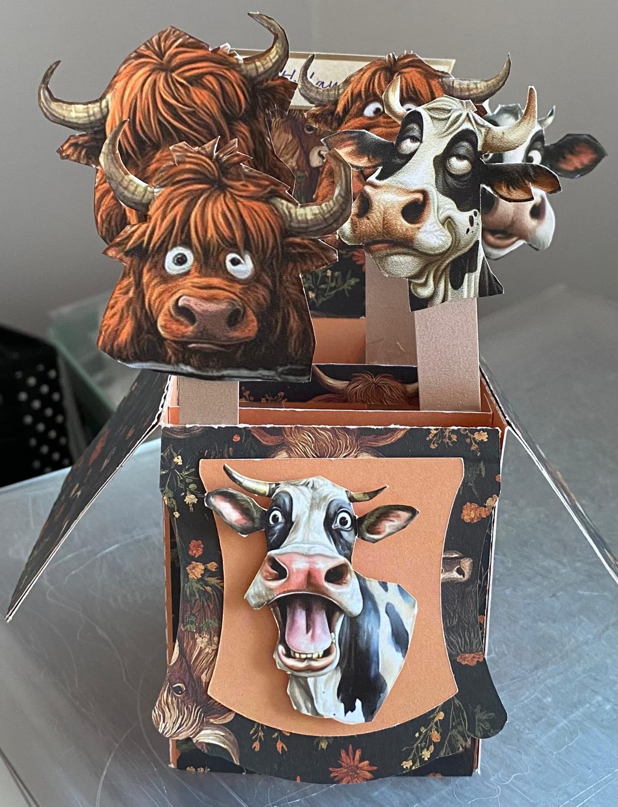 Special Greeting Cards