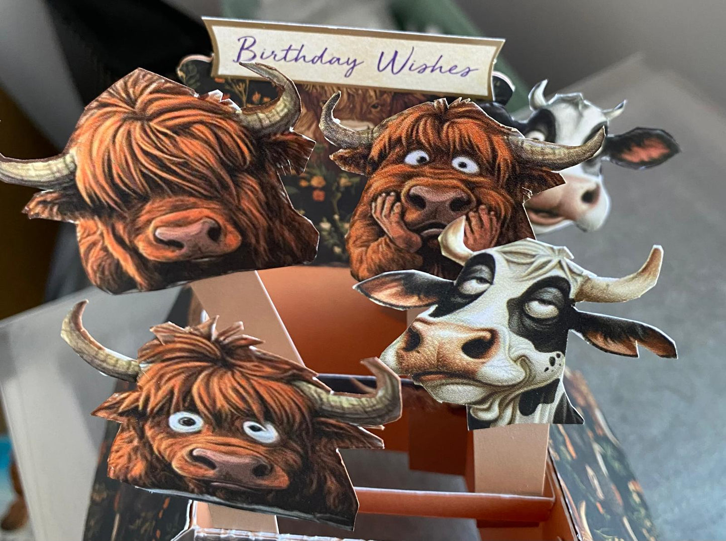 Special Greeting Cards